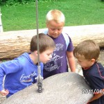 Erfahrungsfeld der Sinne