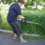 Bild 014