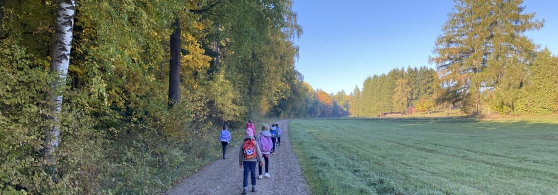 Wandertag durch den goldenen Herbst